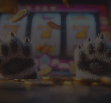 Stupid Casino